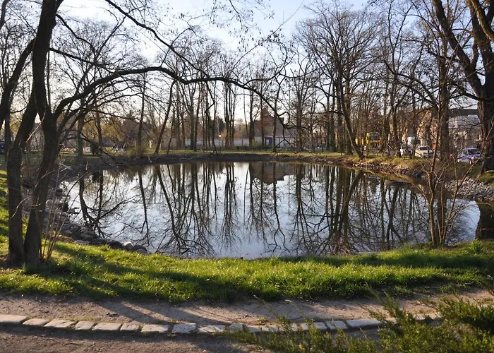 Gardenoasisberlinairport 아파트 쇼네펠드